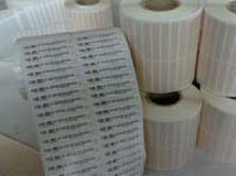 Bright polyimide label